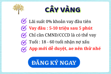 Top 20 Các App Vay Tiền Online Nhanh Uy Tín